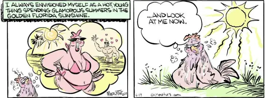 Shrimp and Grits for Jun 19, 2024