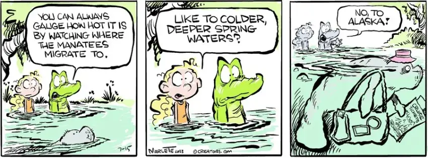 Shrimp and Grits for Jul 15, 2023