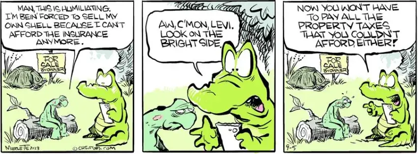 Shrimp and Grits for Sep 05, 2023