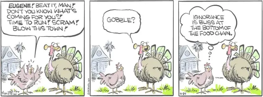 Shrimp and Grits for Nov 25, 2024